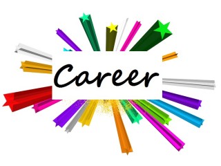 career discussion, performance reviews, alternative